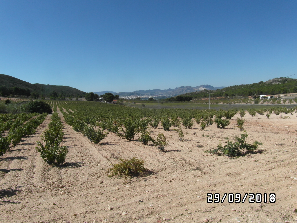 CHALET CERCA DE YECLA