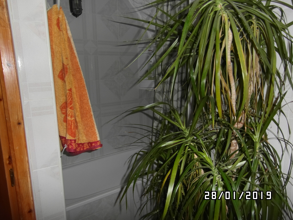 CASA INDEPENDIENTE EN EL CERRO DEL CASTILLO Y EN YECLA