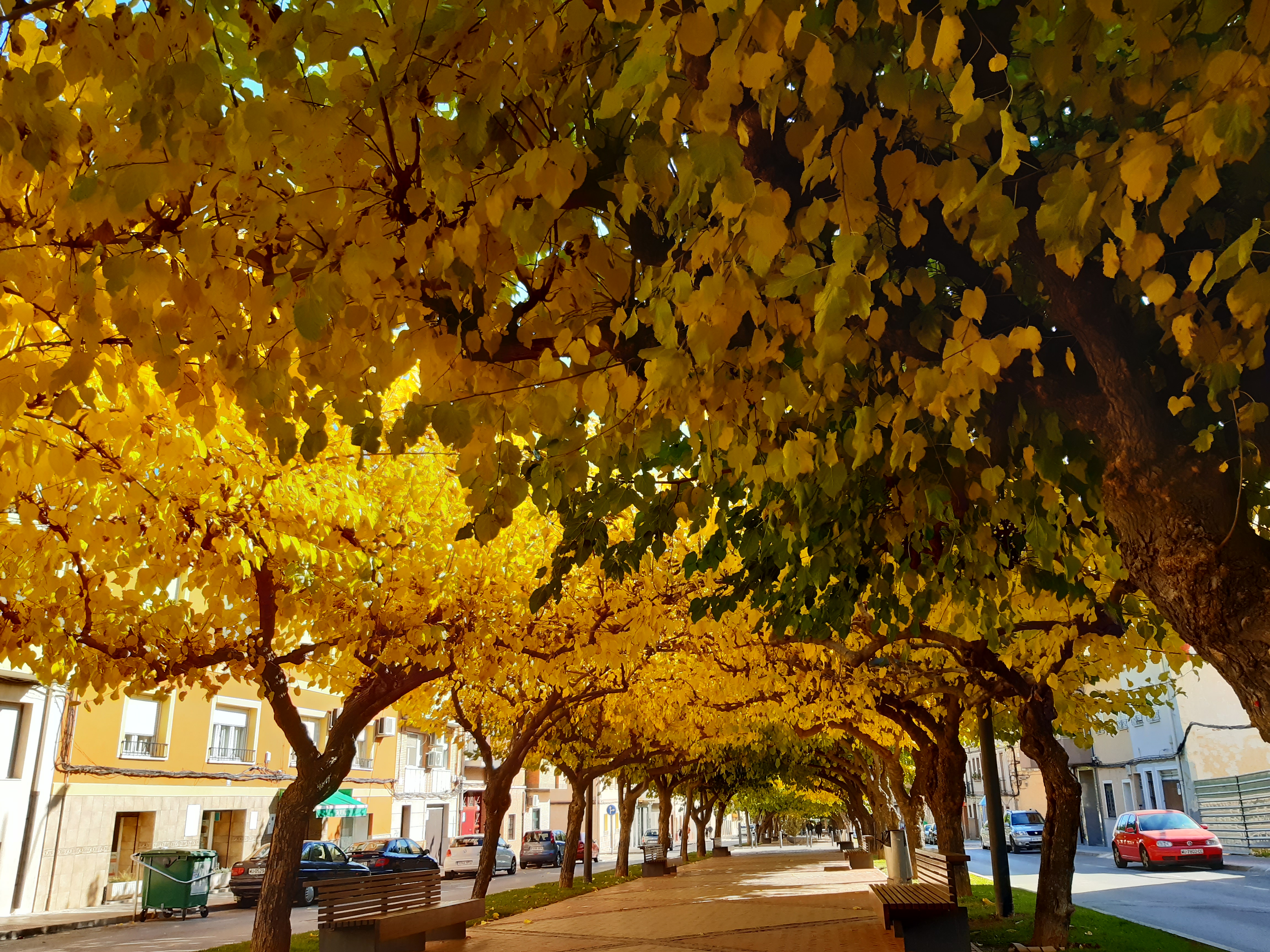 CASA INDEPENDIENTE PARA REPARAR Y EN YECLA