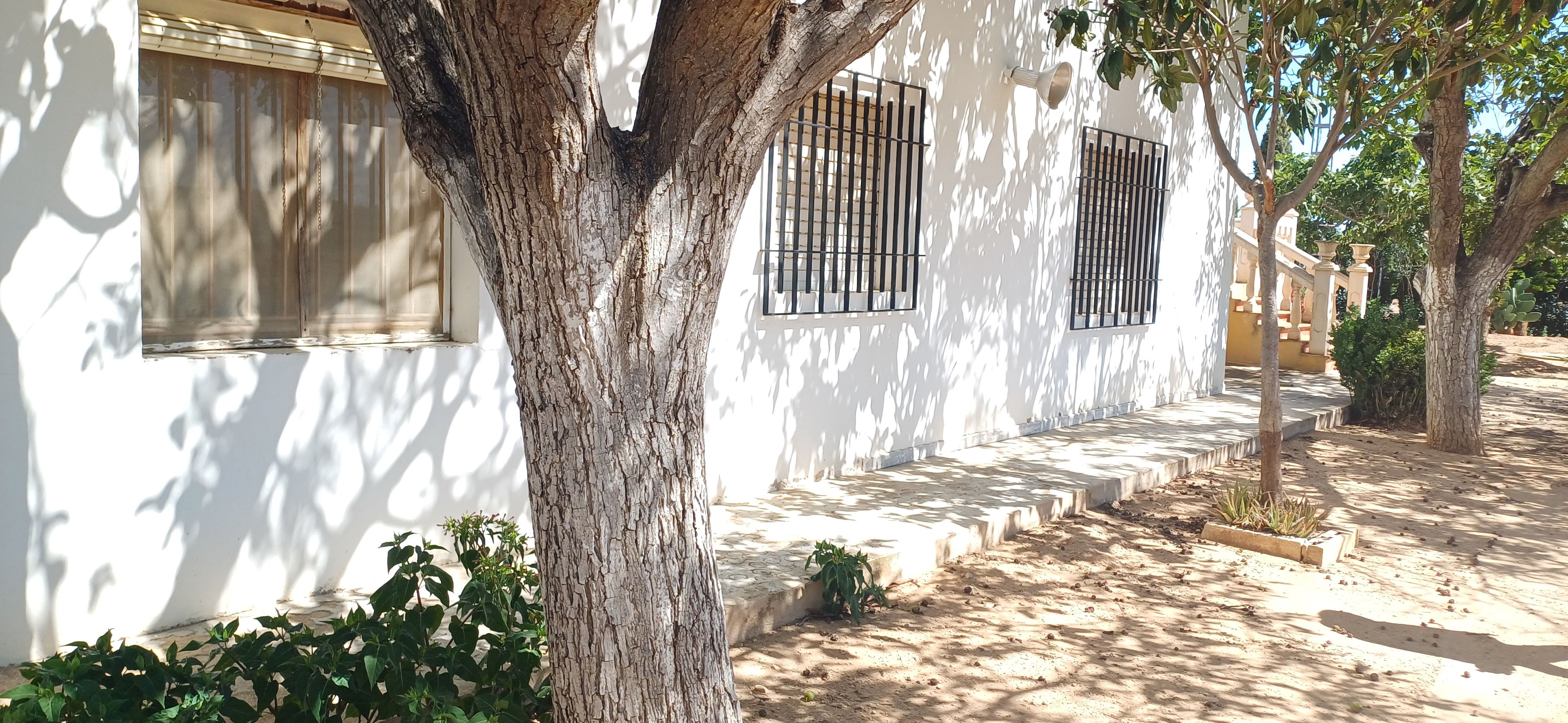 CHALET EN EL TERMINO DE YECLA