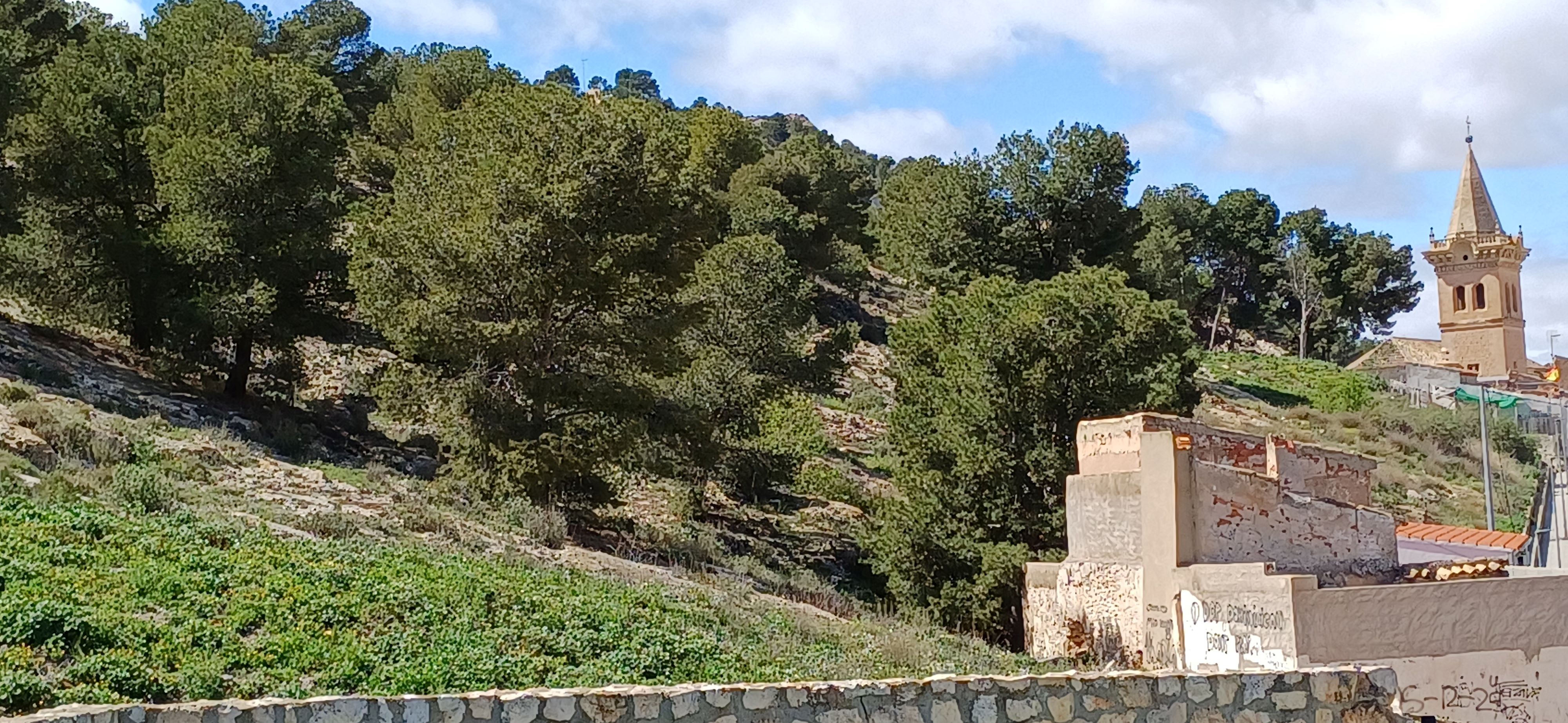 TERRENO RUSTICO CON AGUA DE POZO Y MUY CERCA DE YECLA