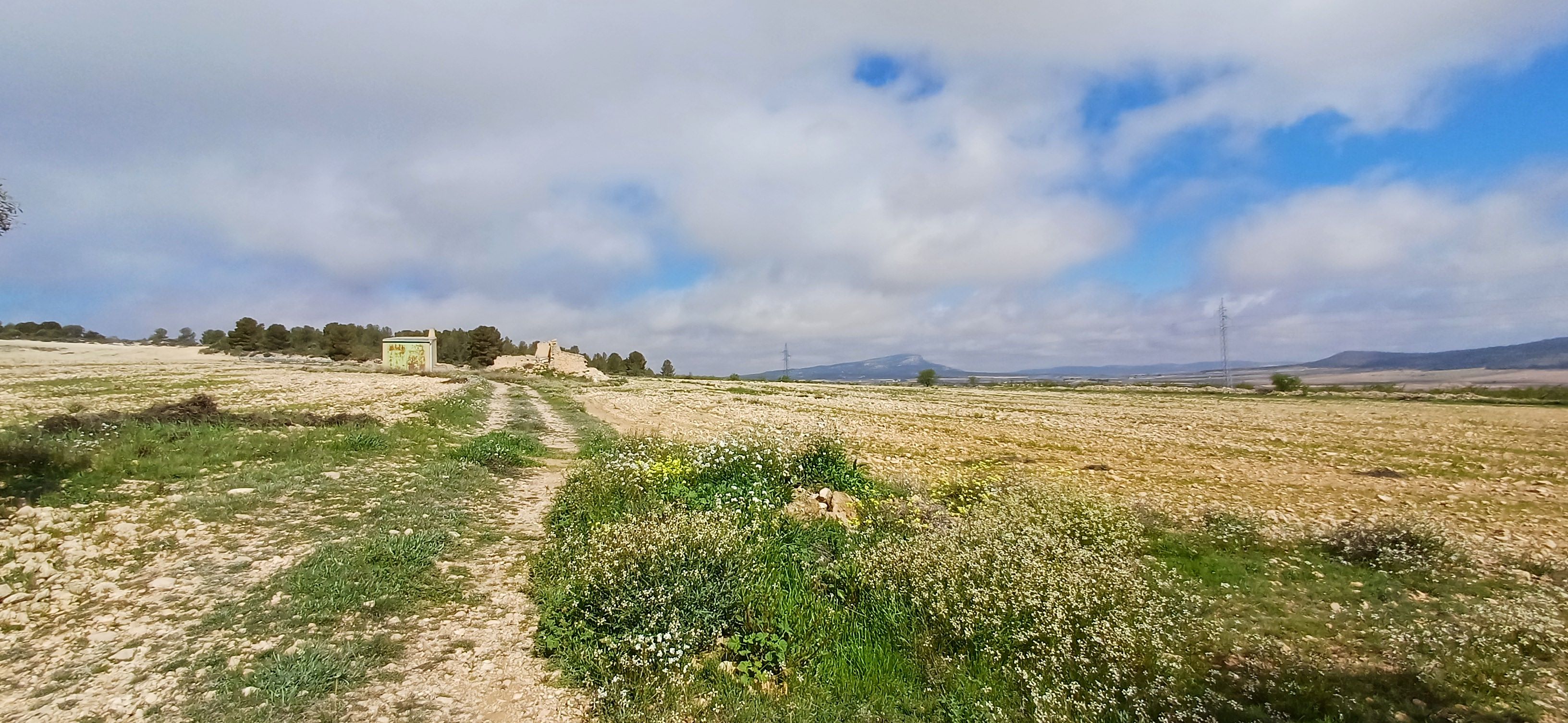 CAMPO CON COCHERA JUNTO A MONTES DE PINOS Y EN YECLA