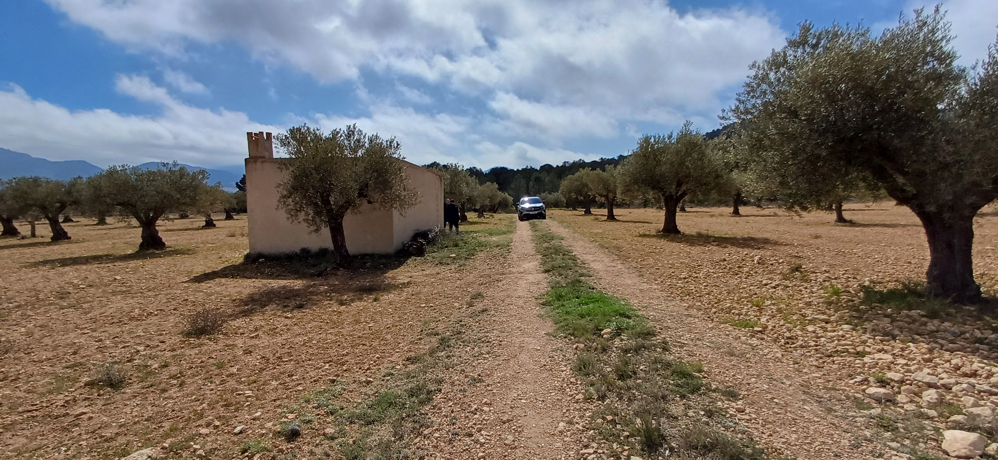 CAMPO CON COCHERA JUNTO A MONTES DE PINOS Y EN YECLA