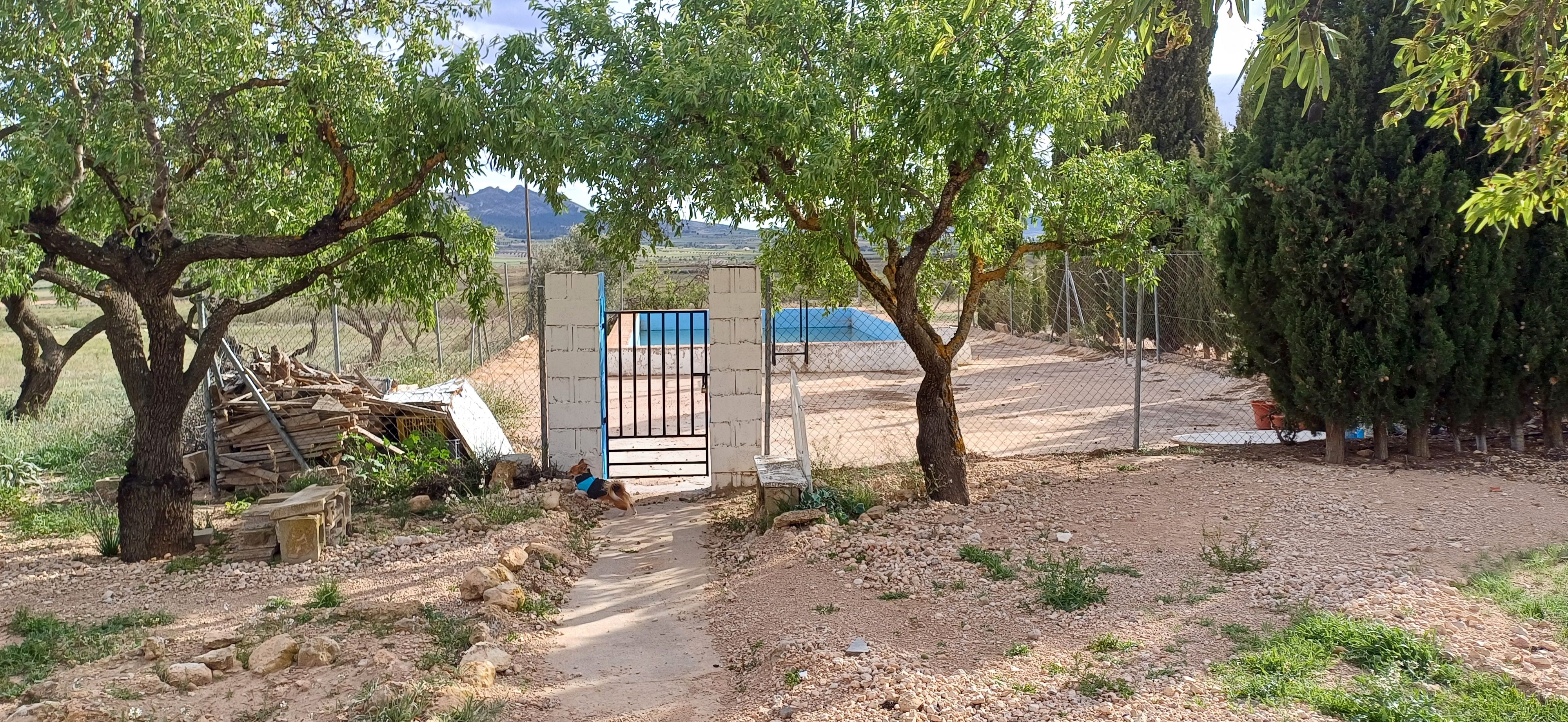 CHALET CON AGUA Y LUZ EN YECLA