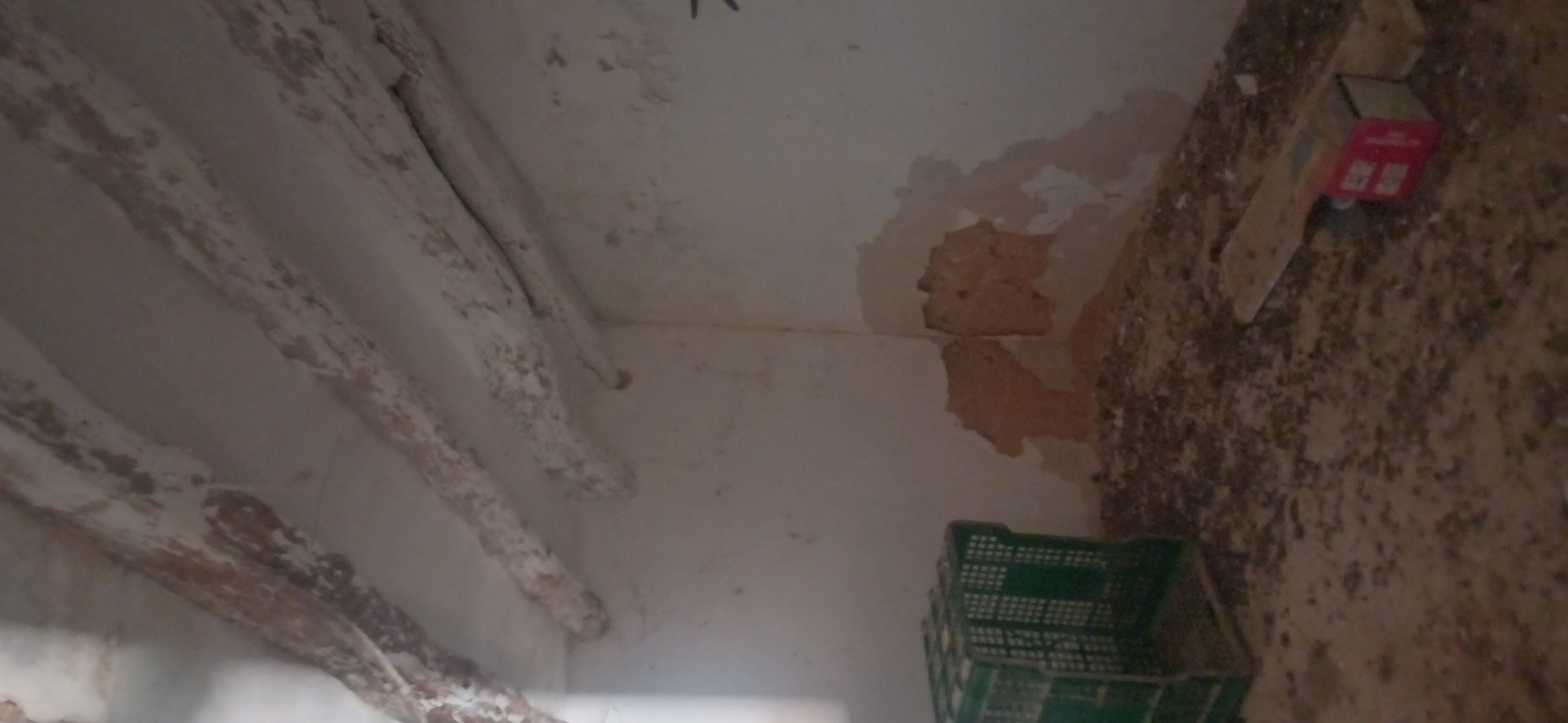 CAMPO CON CASA 157 METROS Y EN EL TERMINO DE YECLA