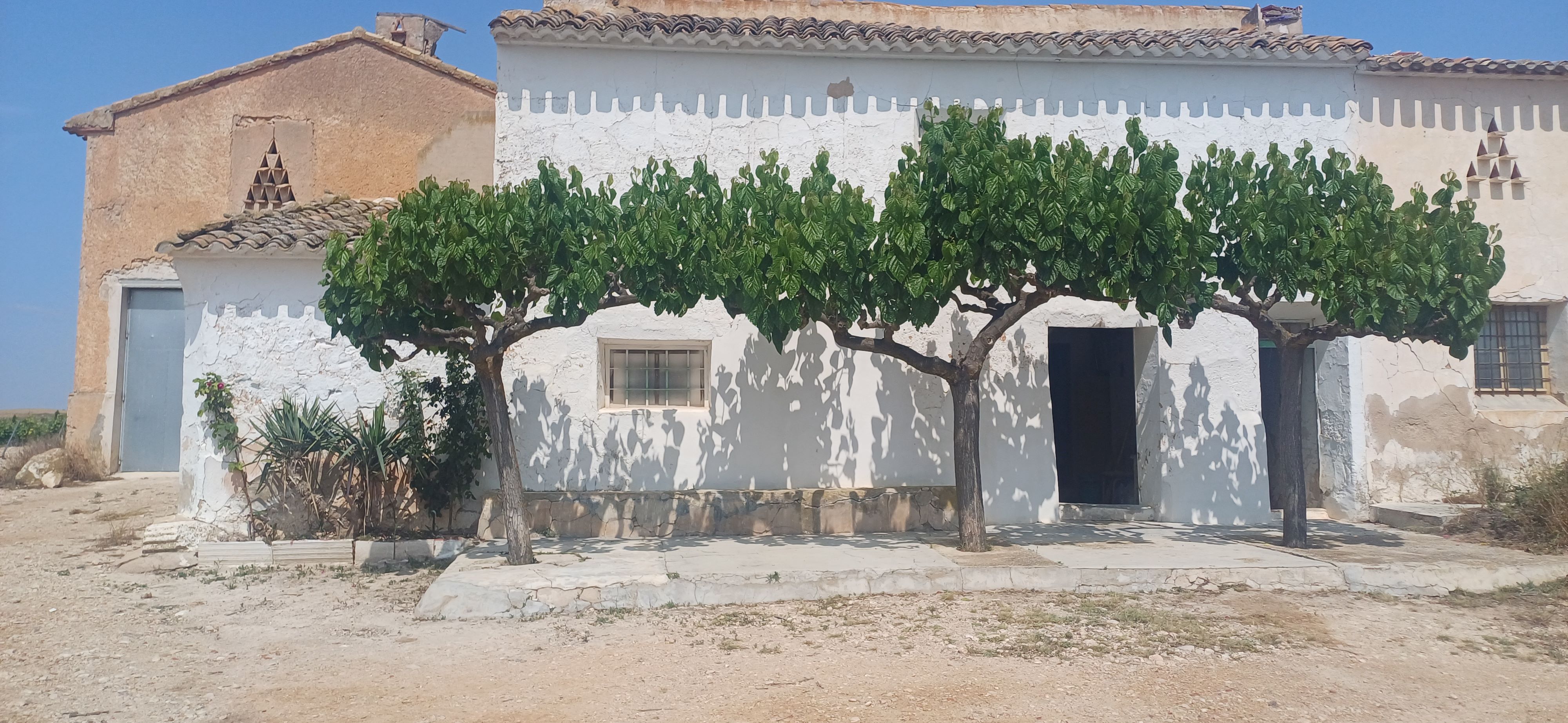 CAMPO CON CASA 157 METROS Y EN EL TERMINO DE YECLA