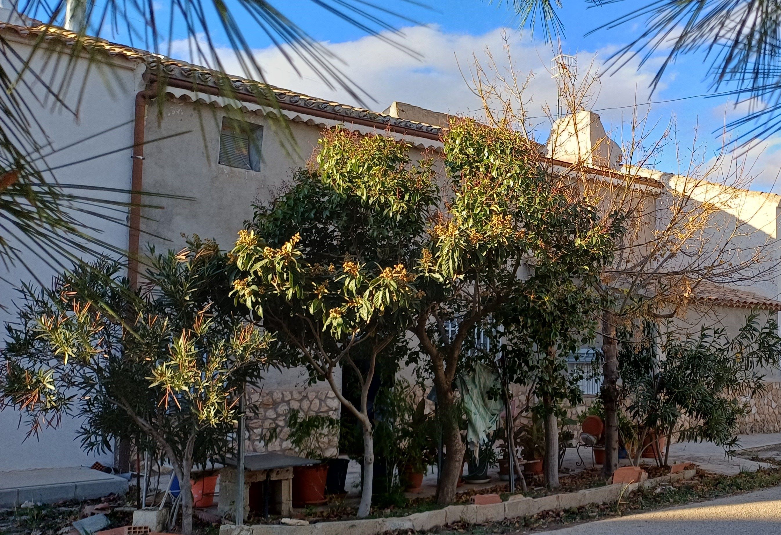 CASA DE CAMPO ADOSADA CON 2 COCHERAS CERRADAS INDEPENDIENTES Y EN YECLA