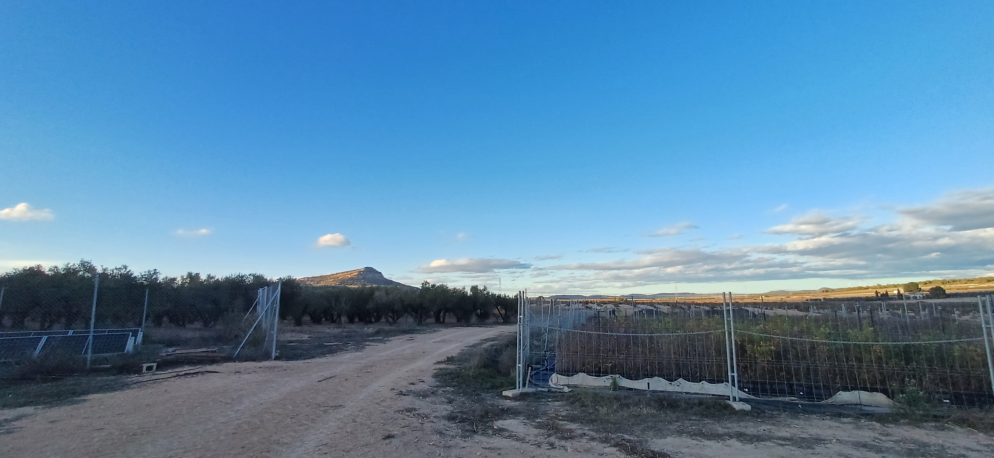 CASA DE CAMPO ADOSADA CON 2 COCHERAS CERRADAS INDEPENDIENTES Y EN YECLA