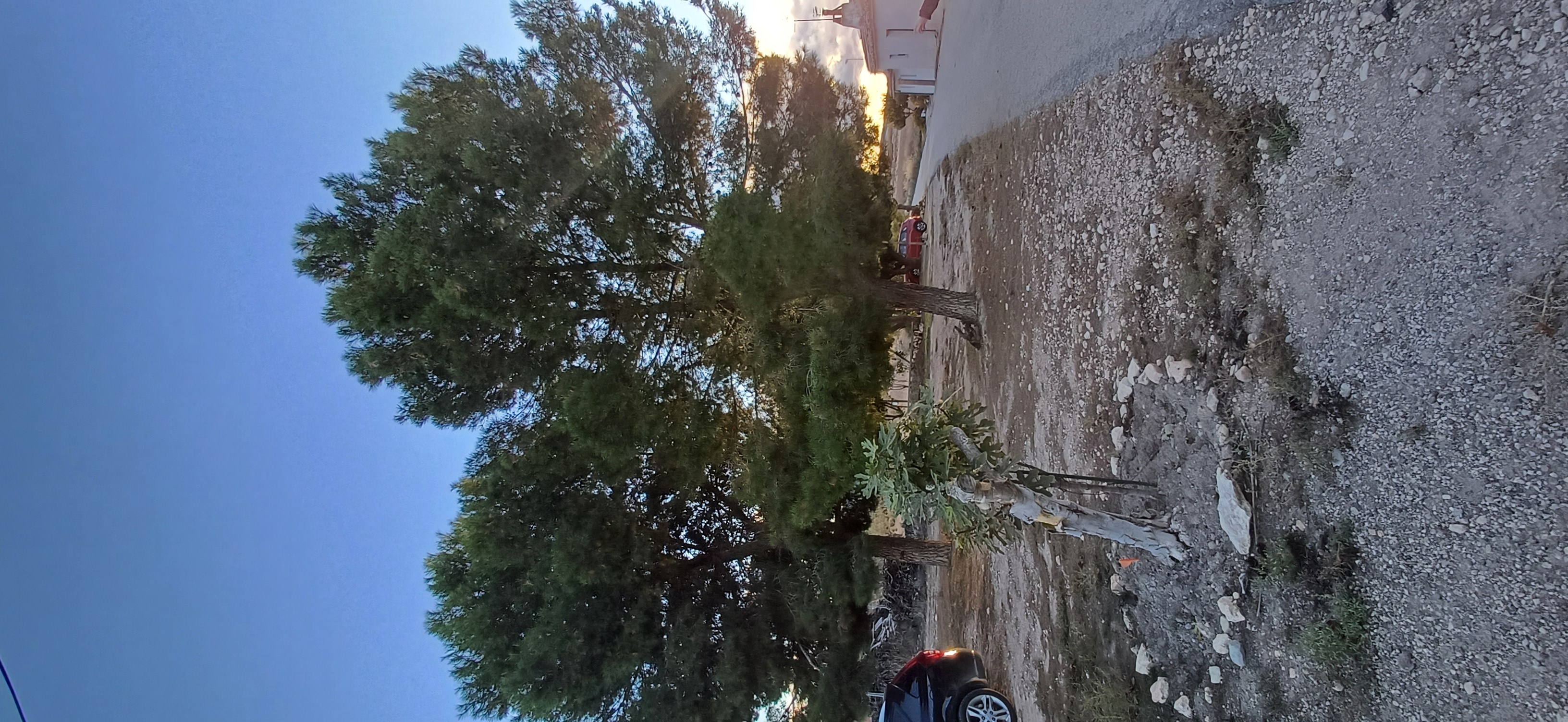 CASA DE CAMPO ADOSADA CON 2 COCHERAS CERRADAS INDEPENDIENTES Y EN YECLA