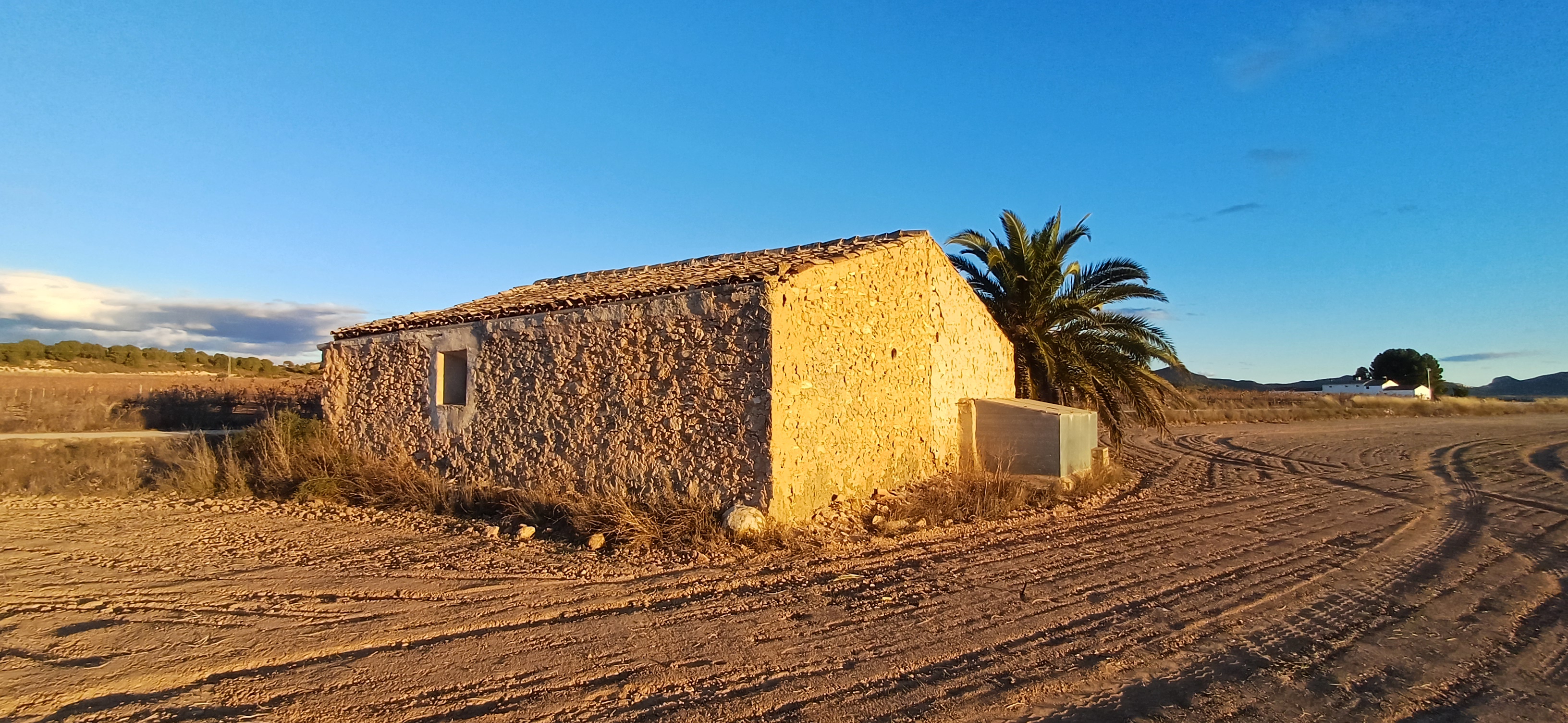 TERRENO RUSTICO CON AGUA DE POZO Y CASA EN YECLA