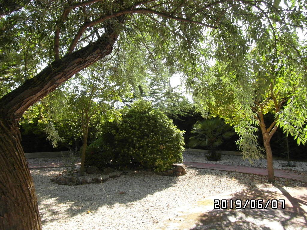 CHALET A SOLO 1 KM DE YECLA