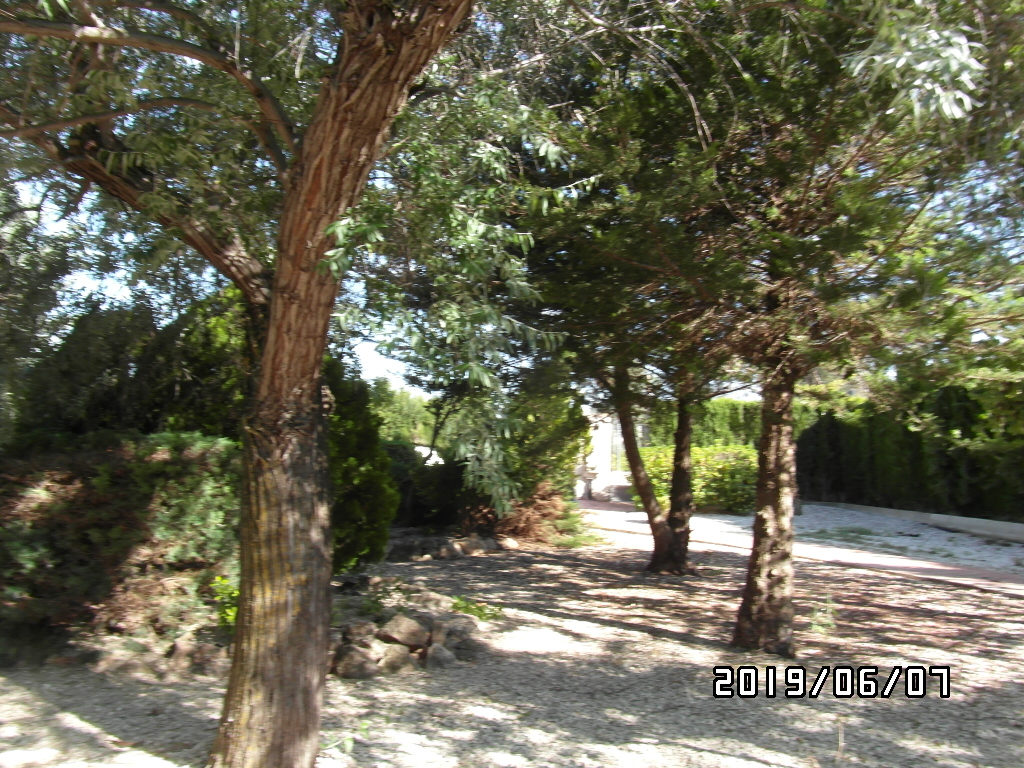 CHALET A SOLO 1 KM DE YECLA