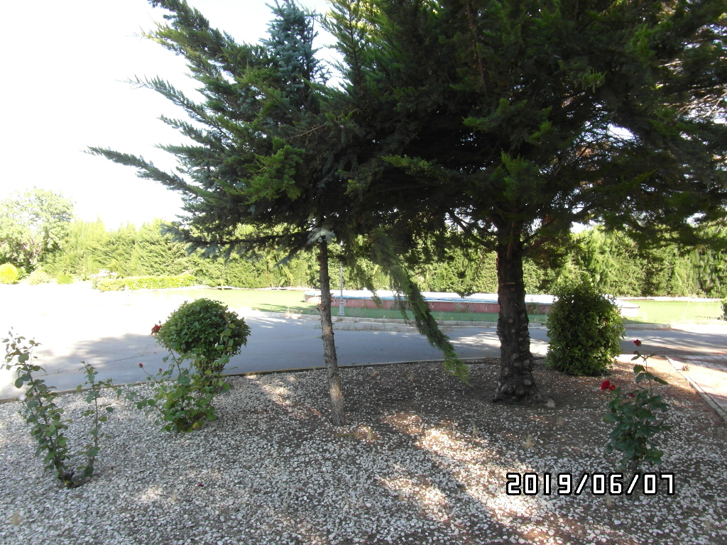 CHALET A SOLO 1 KM DE YECLA