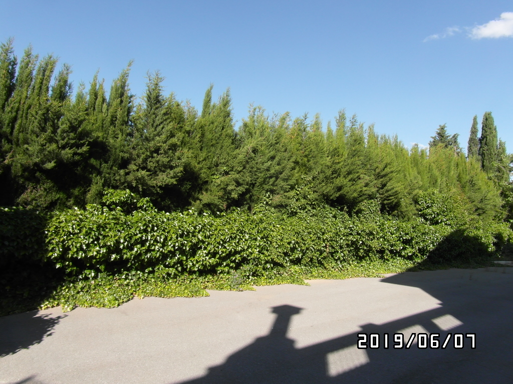 CHALET A SOLO 1 KM DE YECLA