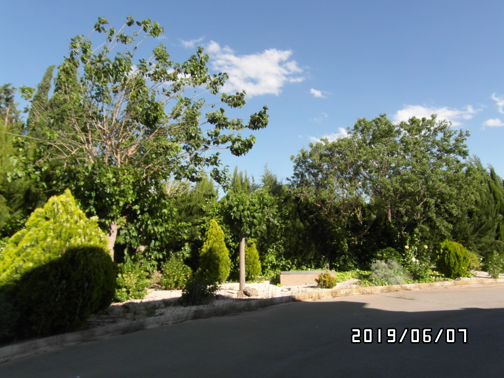 CHALET A SOLO 1 KM DE YECLA