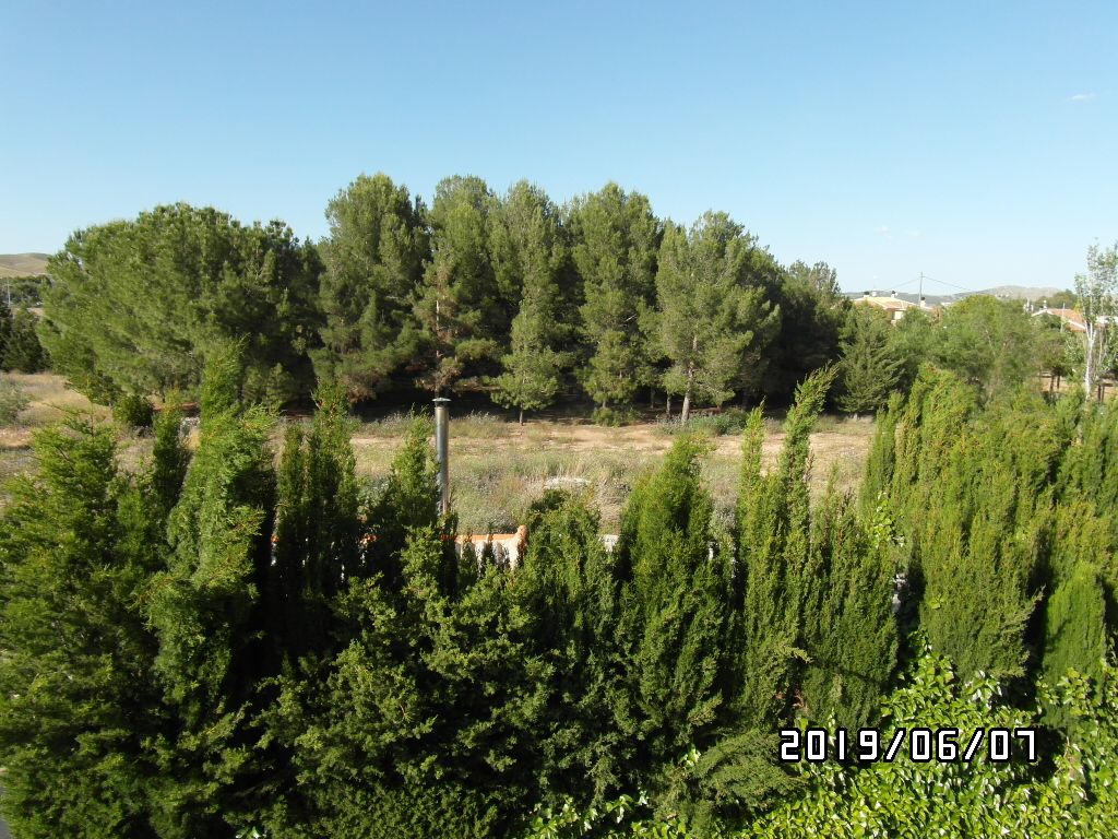 CHALET A SOLO 1 KM DE YECLA