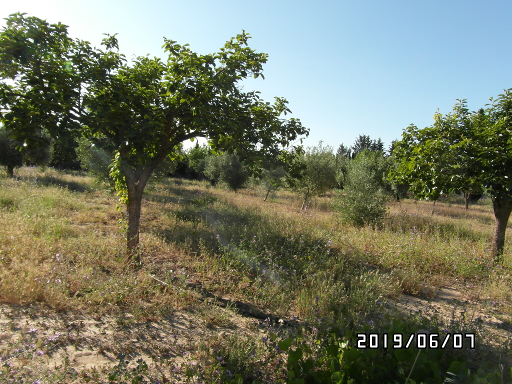 CHALET A SOLO 1 KM DE YECLA