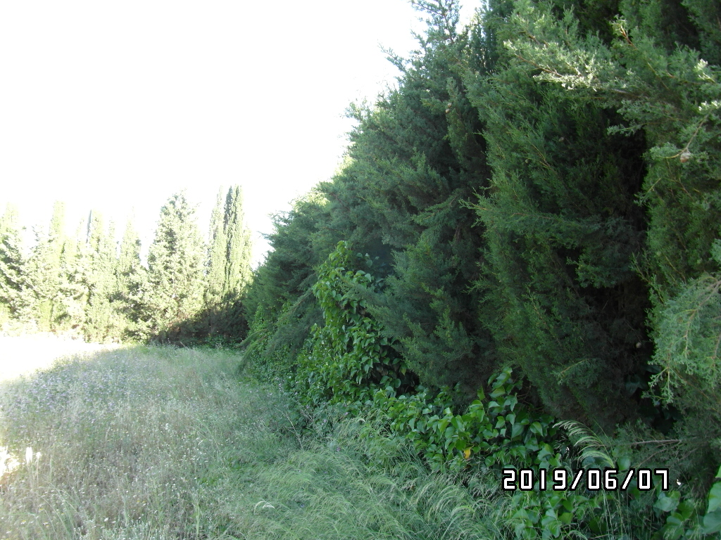 CHALET A SOLO 1 KM DE YECLA