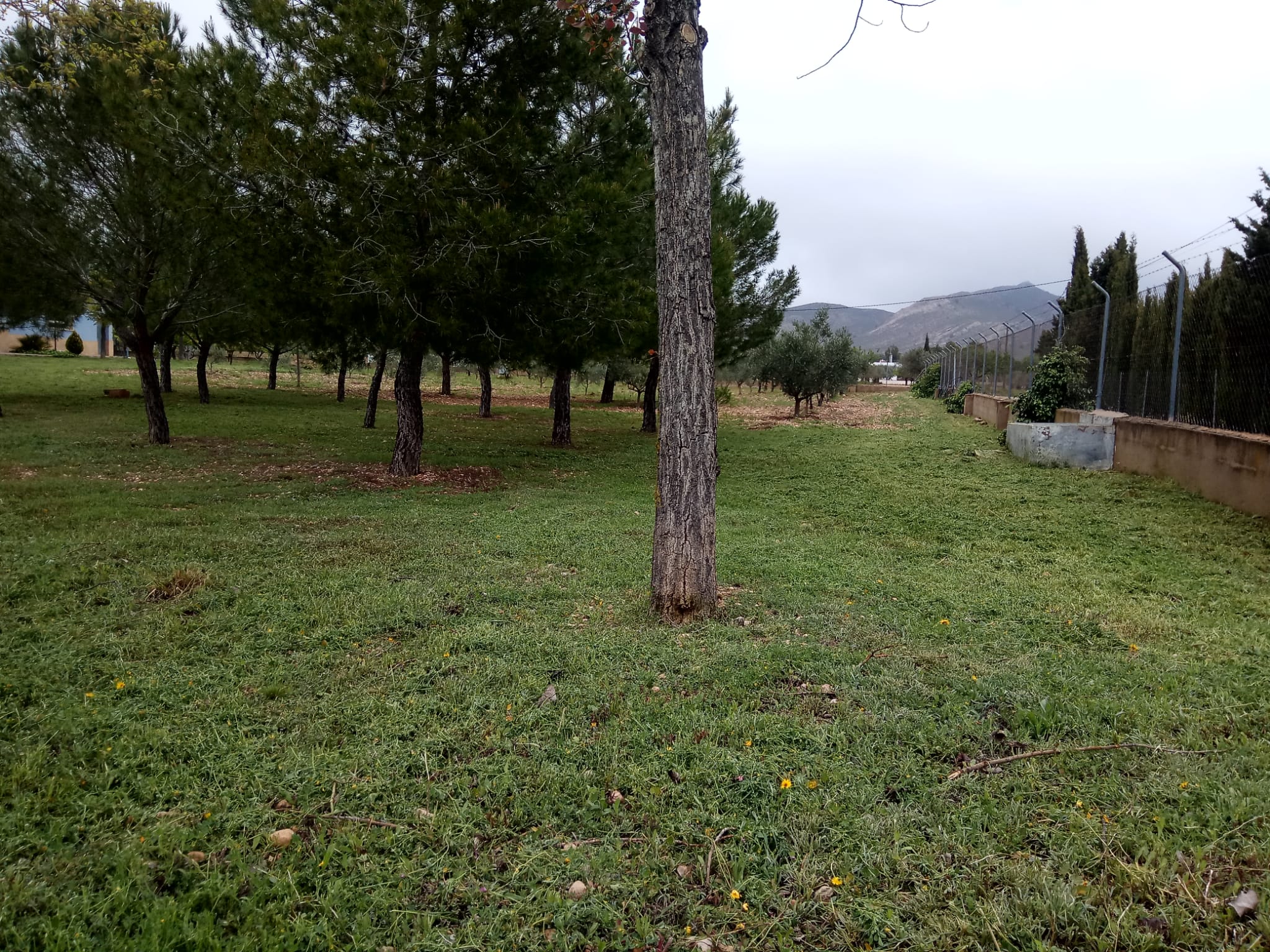 CHALET CERCA PARA VIVIR TODO EL AÑO EN YECLA