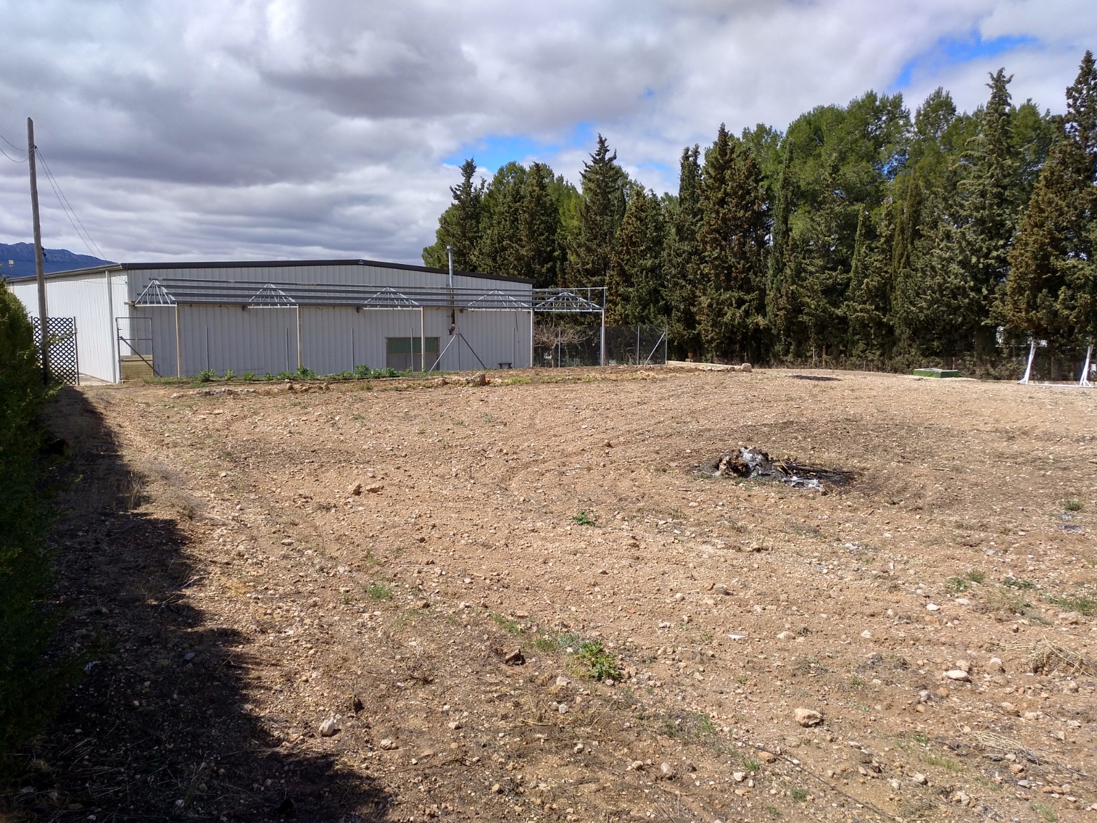 CHALET A 3 KM DE YECLA CON NAVE INDUSTRIAL