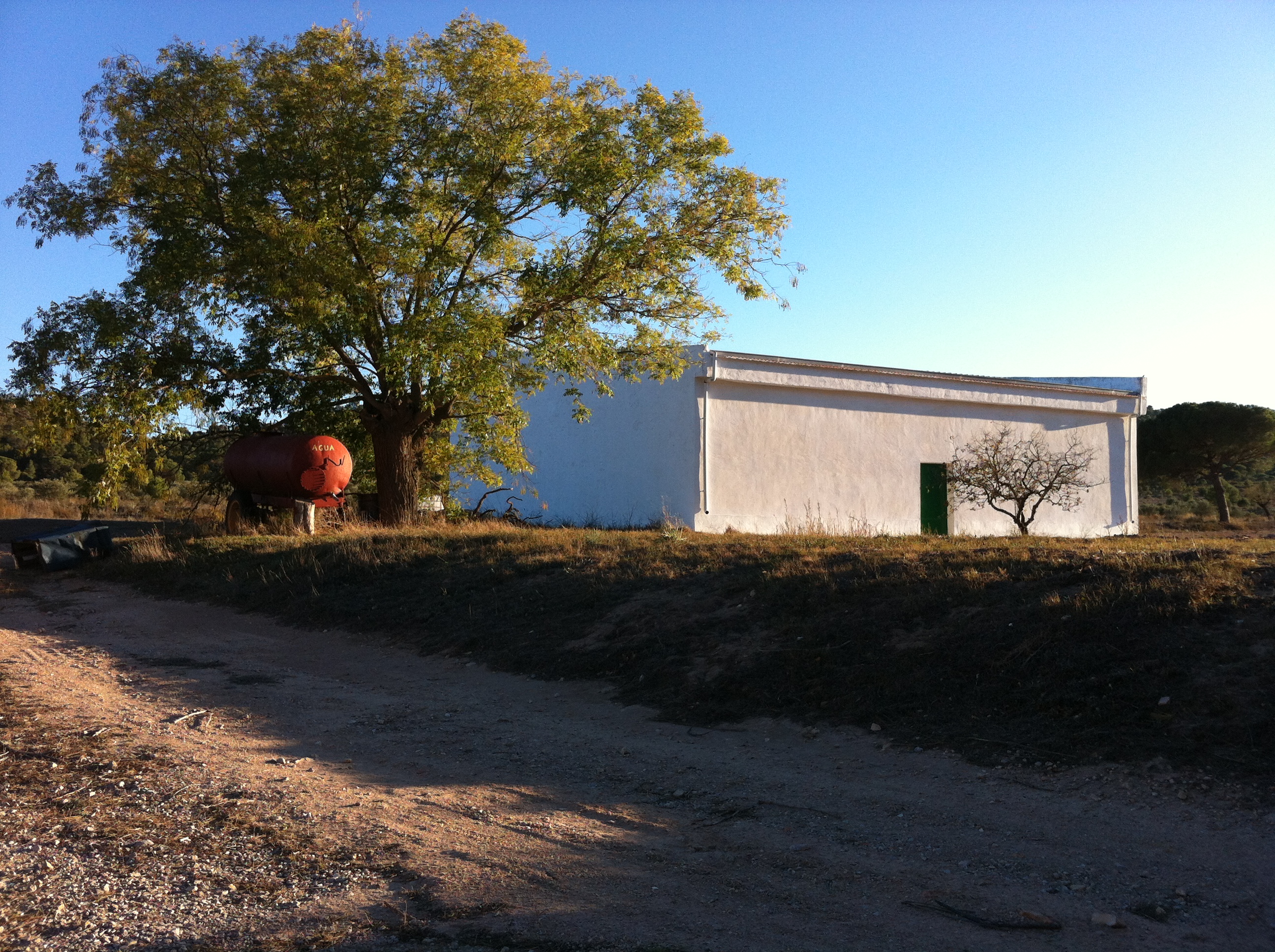 FINCA ENTRE YECLA Y CAUDETE