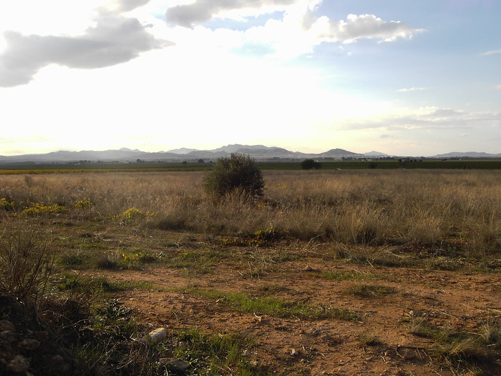 CHALET CON CASA DE CAMPO VIEJA