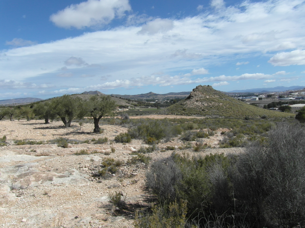 TERRENO EN EL PARAJE DE LA MAGDALENA Y EN YECLA