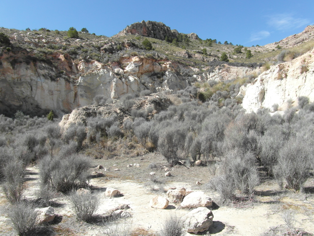 TERRENO EN EL PARAJE DE LA MAGDALENA Y EN YECLA