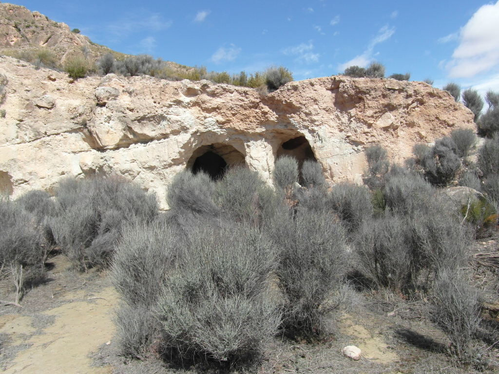 TERRENO EN EL PARAJE DE LA MAGDALENA Y EN YECLA