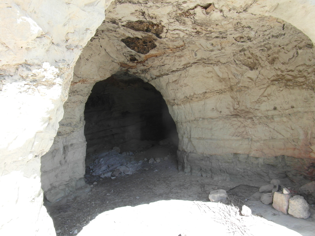 TERRENO EN EL PARAJE DE LA MAGDALENA Y EN YECLA