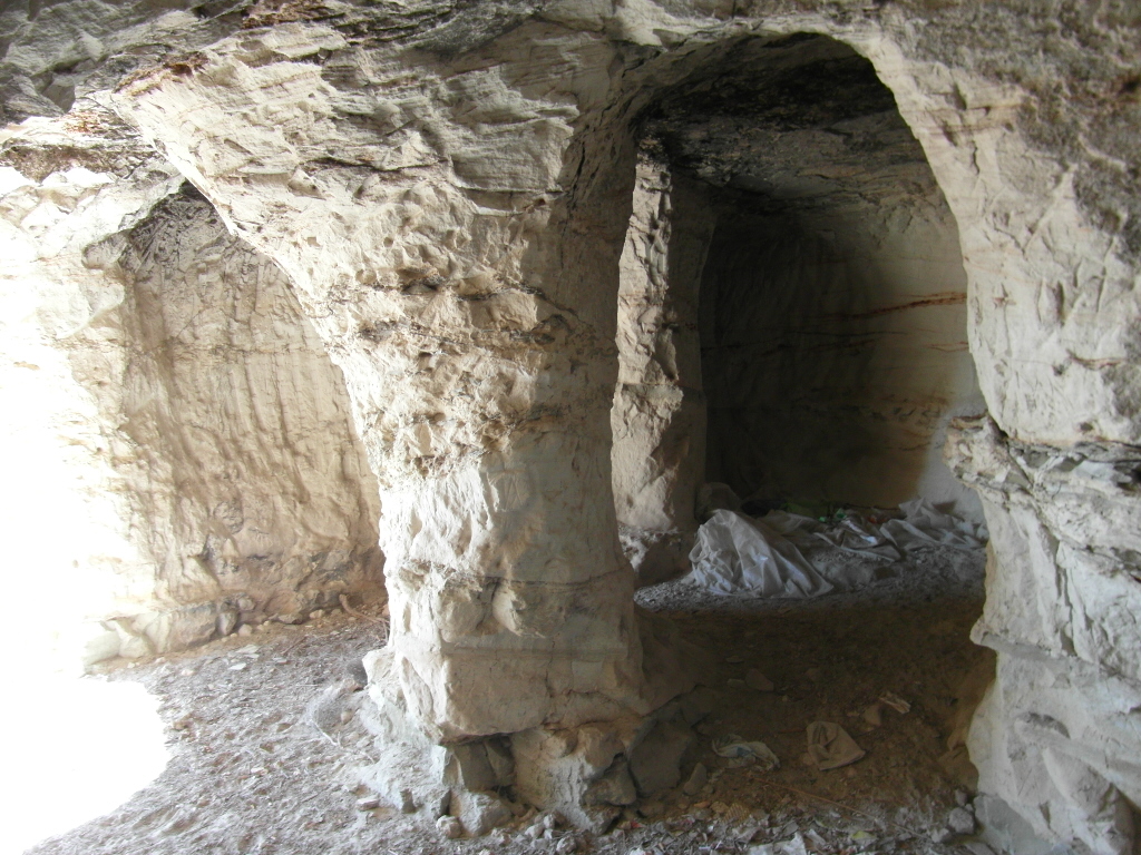 TERRENO EN EL PARAJE DE LA MAGDALENA Y EN YECLA