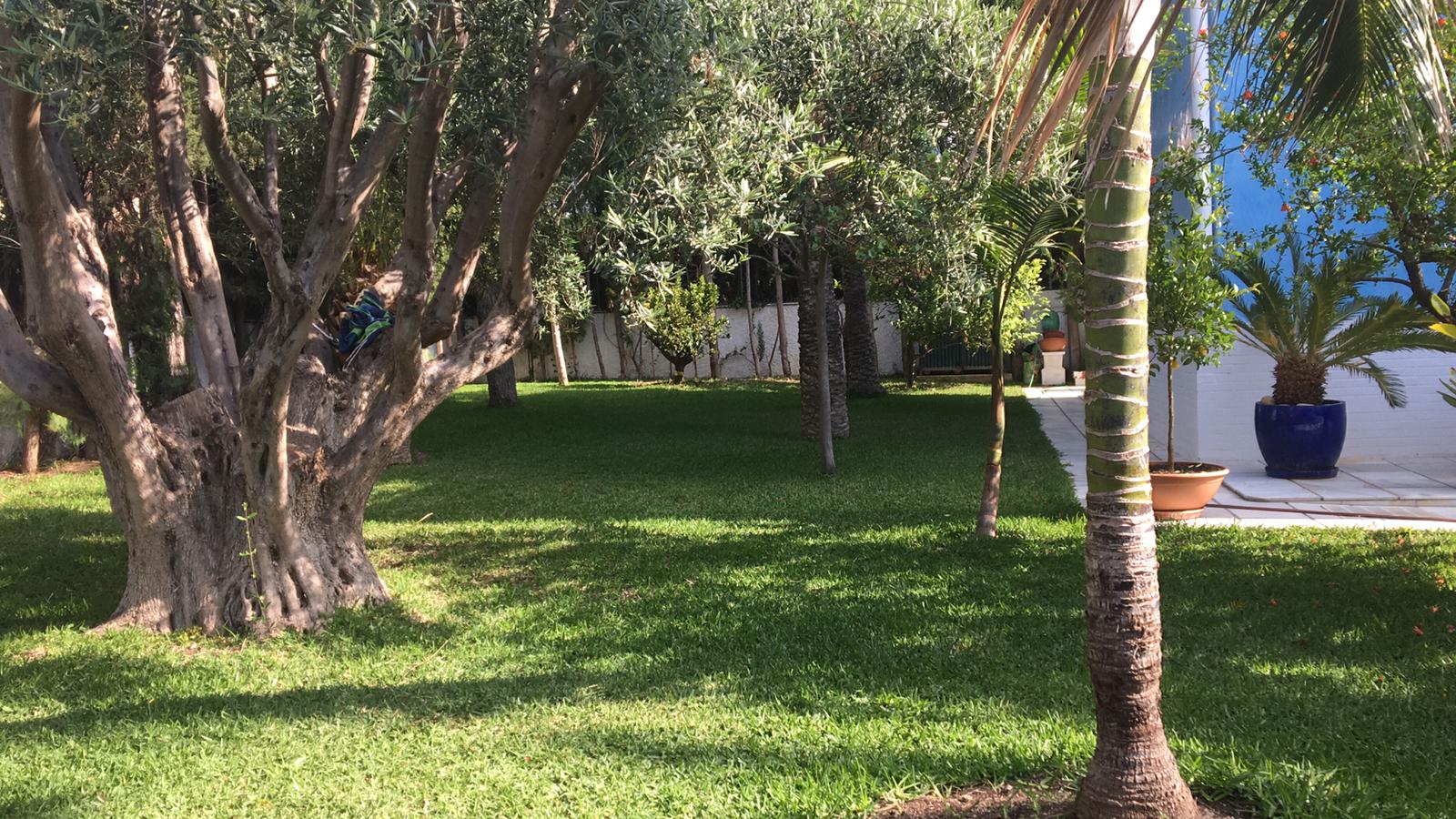 DUPLEX JUNTO AL MAR EN CAMPELLO ALICANTE