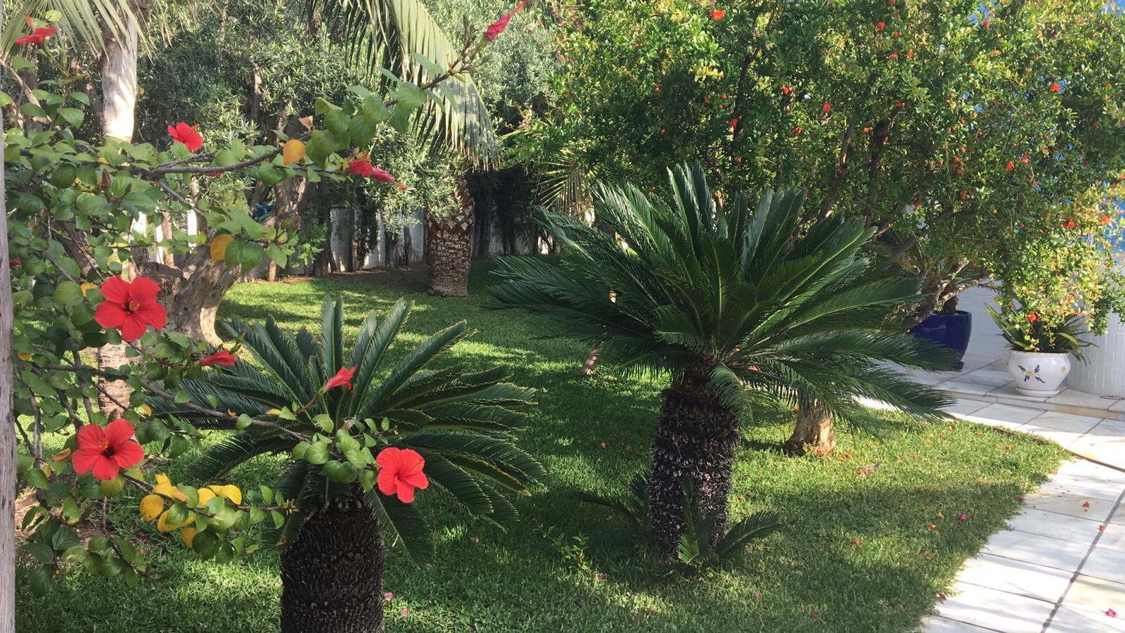 DUPLEX JUNTO AL MAR EN CAMPELLO ALICANTE