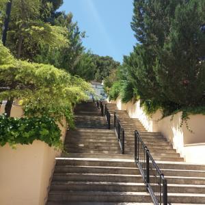 SOLAR URBANO PARA CONSTRUIR UNA CASA CERCA JARDIN DE LAS PALOMAS EN YECLA SOLAR URBANO PARA CONSTRUIR UNA CASA CERCA JARDIN DE LAS PALOMAS EN YECLA