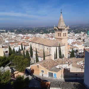 TERRENOS PARA EDIFICAR Y EN YECLA