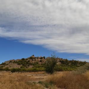TERRENO CERCA PARA HACER UN CHALET EN YECLA