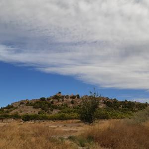TERRENO RUSTICO PARA CONSTRUIR UN CHALET Y EN YECLA TERRENO RUSTICO PARA CONSTRUIR UN CHALET Y EN YECLA