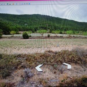 PARCELA DE TERRENO YERMO JUNTO A MONTE DE PINOS Y EN YECLA