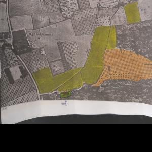 FINCA EN LA BRONQUINA DE YECLA FINCA EN LA BRONQUINA DE YECLA