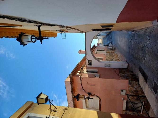 PARCELA DE TERRENO RUSTICO CON ALMENDROS EN PRODUCCION Y EN YECLA