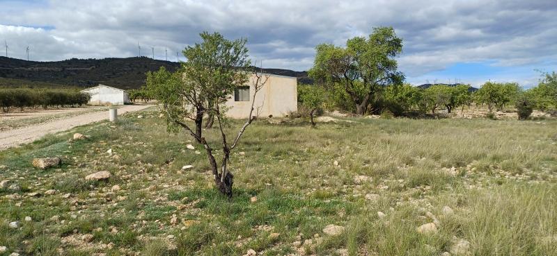 CHALET CON AGUA Y LUZ EN YECLA