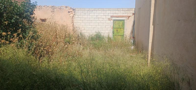 CAMPO CON CASA 157 METROS Y EN EL TERMINO DE YECLA