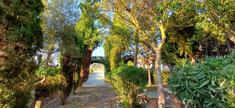 CHALET MUY CERCA DE YECLA PARA VIVIR TODO EL AÑO