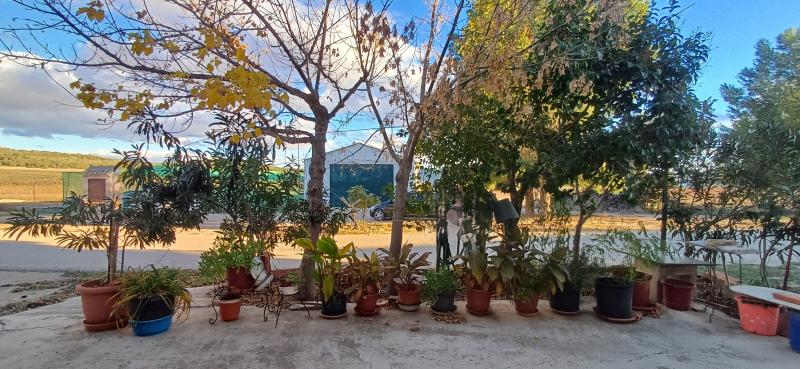 CASA DE CAMPO ADOSADA CON 2 COCHERAS CERRADAS INDEPENDIENTES Y EN YECLA