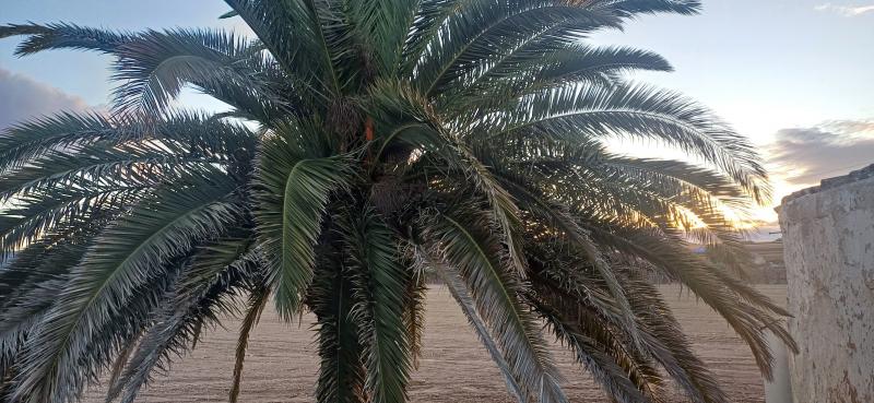 TERRENO RUSTICO CON AGUA DE POZO Y CASA EN YECLA