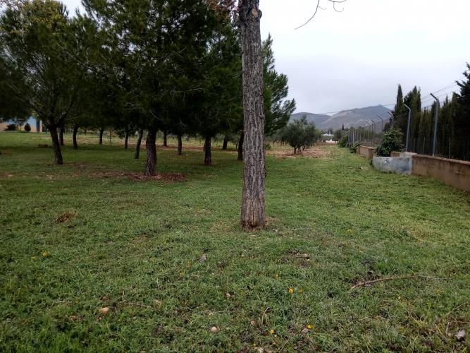 CHALET CERCA PARA VIVIR TODO EL AÑO EN YECLA