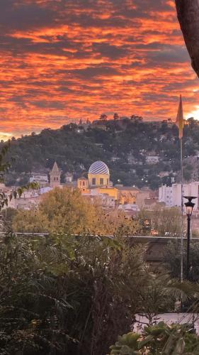 TERRENO RUSTICO CON AGUA DE POZO Y EN YECLA