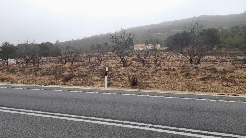 TERRENO RUSTICO A ORILLA DE LA CARRETERA DE CAUDETE Y EN YECLA