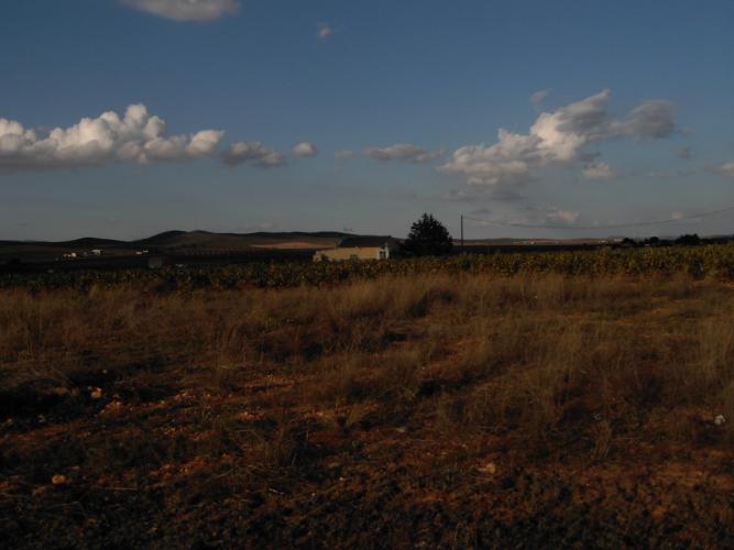 CHALET CON CASA DE CAMPO VIEJA