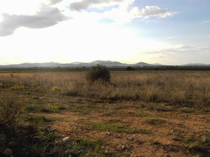 CHALET CON CASA DE CAMPO VIEJA